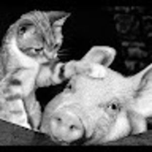 Meet your Posher, Adriana